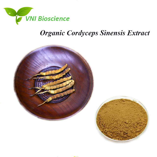 Kosher Halal Certified Organic Cordycep Acid Cordyceps Sinensis Extract