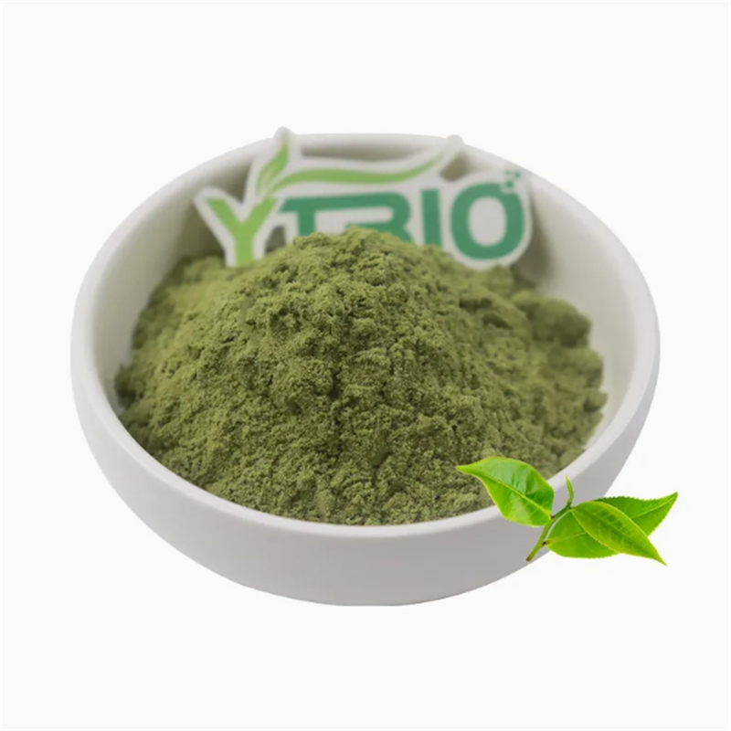 Organic Alfalfa Powder High Quality Pure Natural Green Superfood