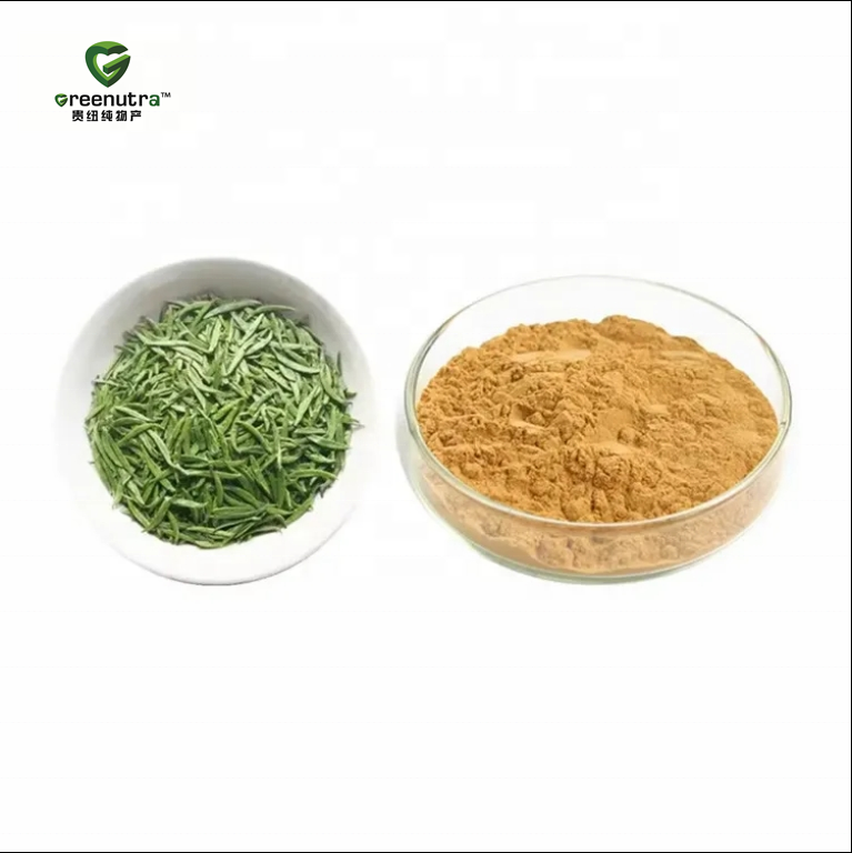 Camellia Sinensis Green Tea Leaf Extract
