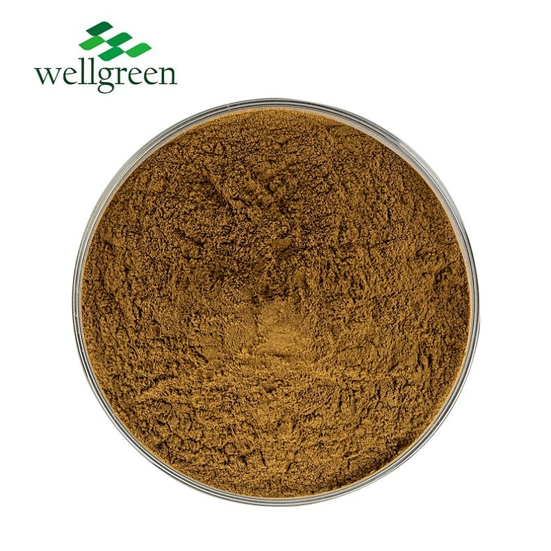 Organic Chaga Mushroom Extract Powder 30% Polysaccharides Inonotus Obliquus Extract for Immune System Support &amp; Antioxidant Feed Additive