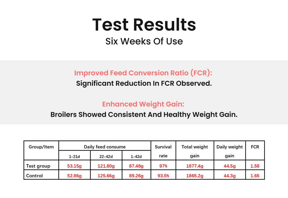 High-Efficiency Poultry Enzyme Additive for Broilers - Gut Health & Nutrition Support