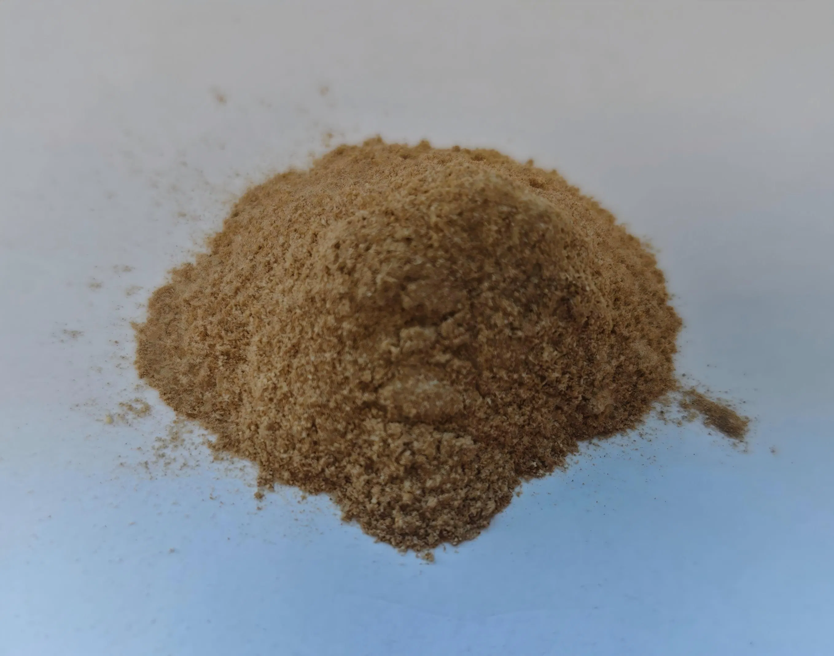 Premium Plant-Based Protein Powder with Bcaa for Recovery