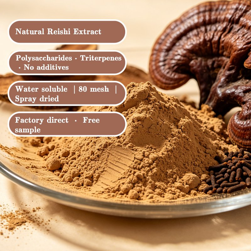 Water Soluble Reishi Extract for Functional Beverage and Coffee