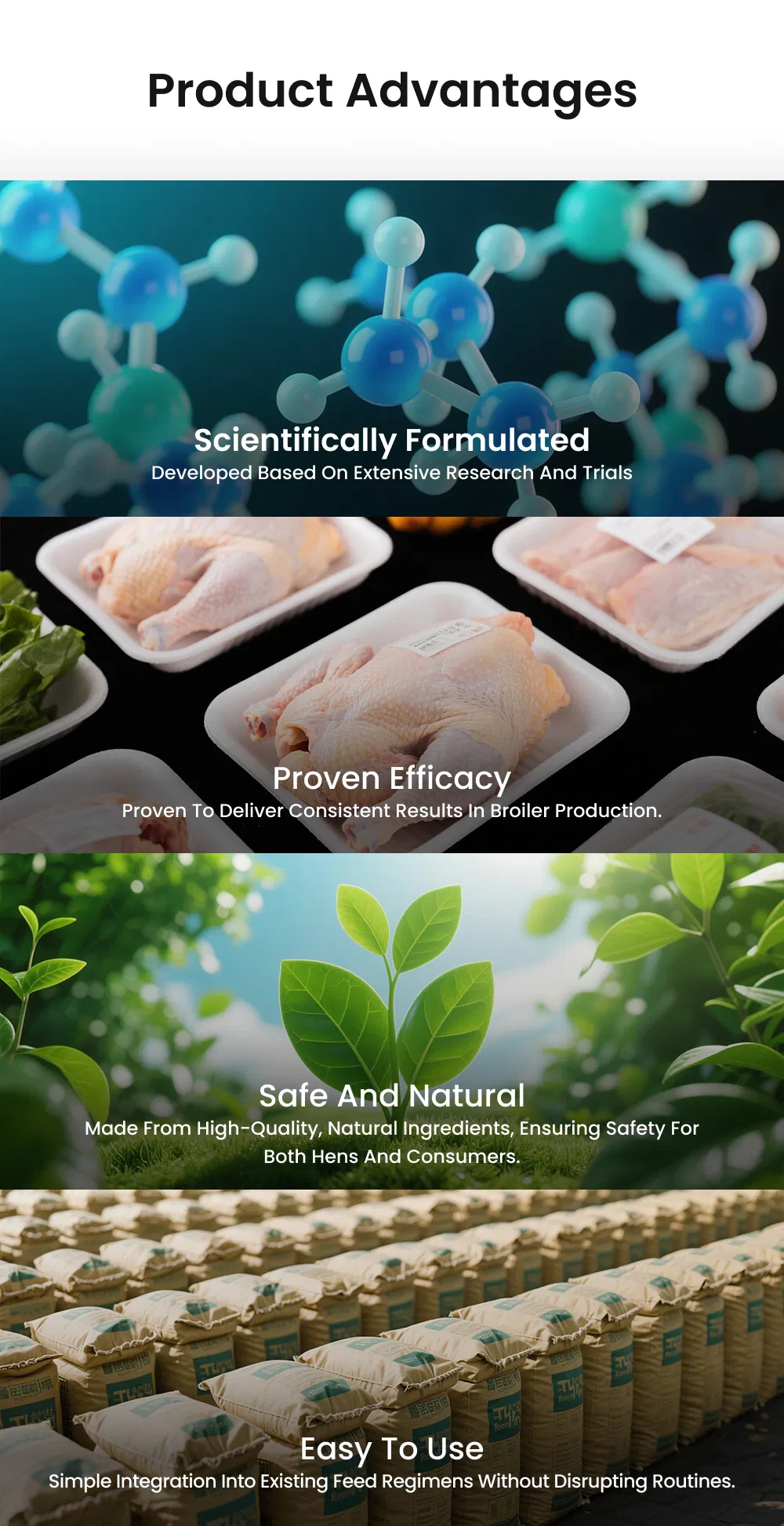 High-Efficiency Poultry Enzyme Additive for Broilers - Gut Health & Nutrition Support