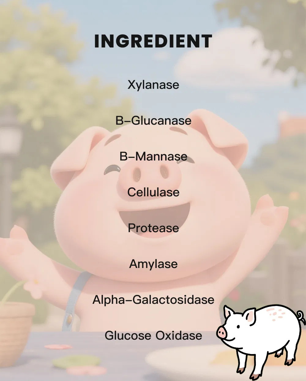 Price Piglet Compound Enzyme Promote Gut Health and Weight Gain