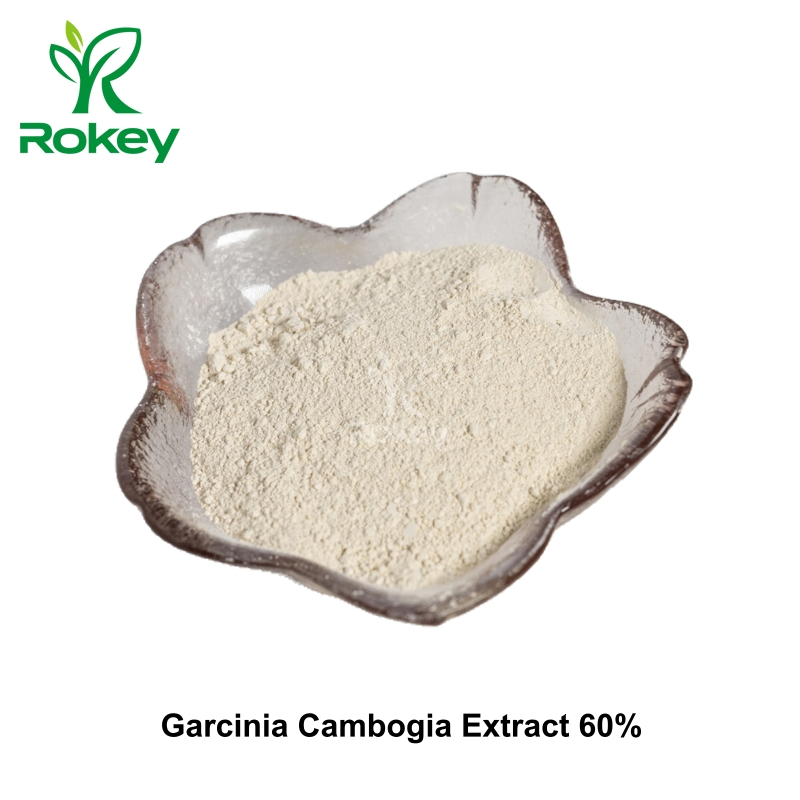 Natural Weight Management Support Garcinia Cambogia Extract 60% Water-Soluble Powder