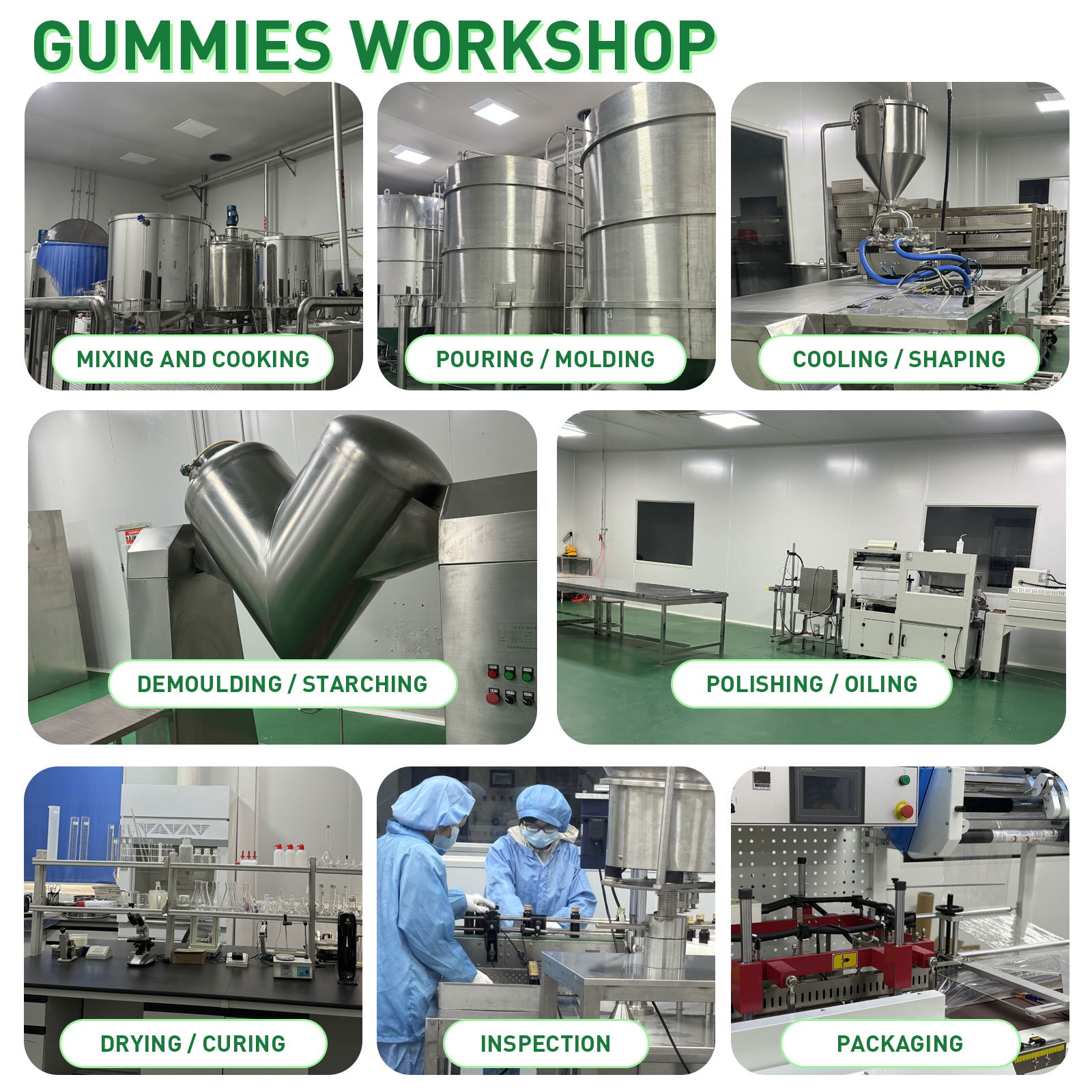 OEM Adult Sugar Free Super Greens Gummies Superfood Gummy Bears with Spirulina Chlorella Fiber Prebiotics Adaptogen Supplement