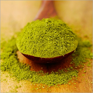 Natural Instant Green Tea Extract Powder Premium Herbal Beverage Mix Rich in Antioxidants for Healthy Refreshing Drinks Daily