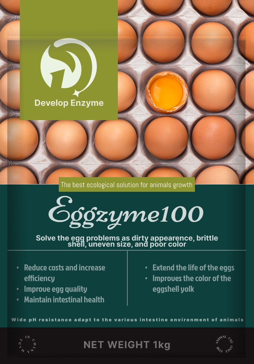 Egg Use High Standard Feed Additives Layer Enzyme for Egg Shell Gut Health