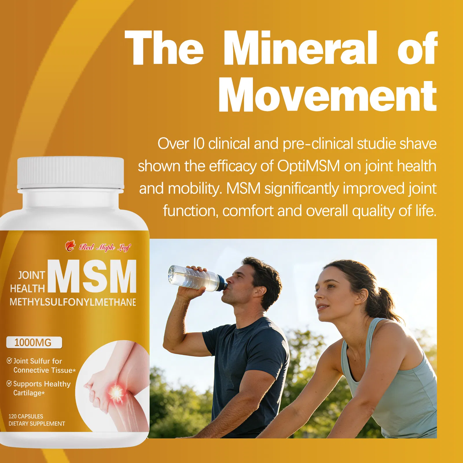Msm (Methylsulfonylmethane) , Joint Support Supplement for Mobility, Recovery & Skin Health