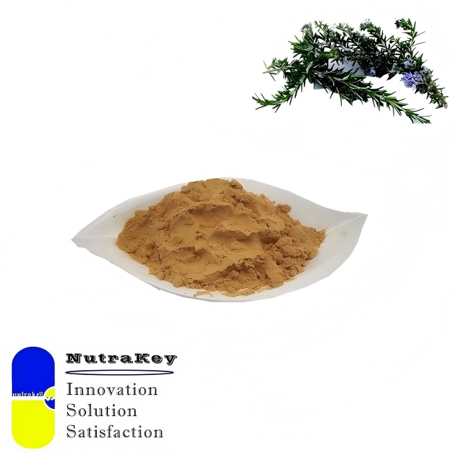 Natural Rosemary Extract 25% Carnosic Acid Food Grade Antioxidant Herbal Powder Bulk Supply