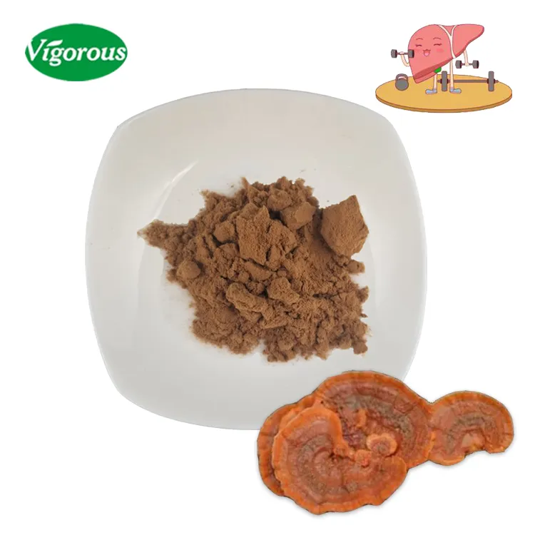 Organic Antrodia Camphorata Extract Powder