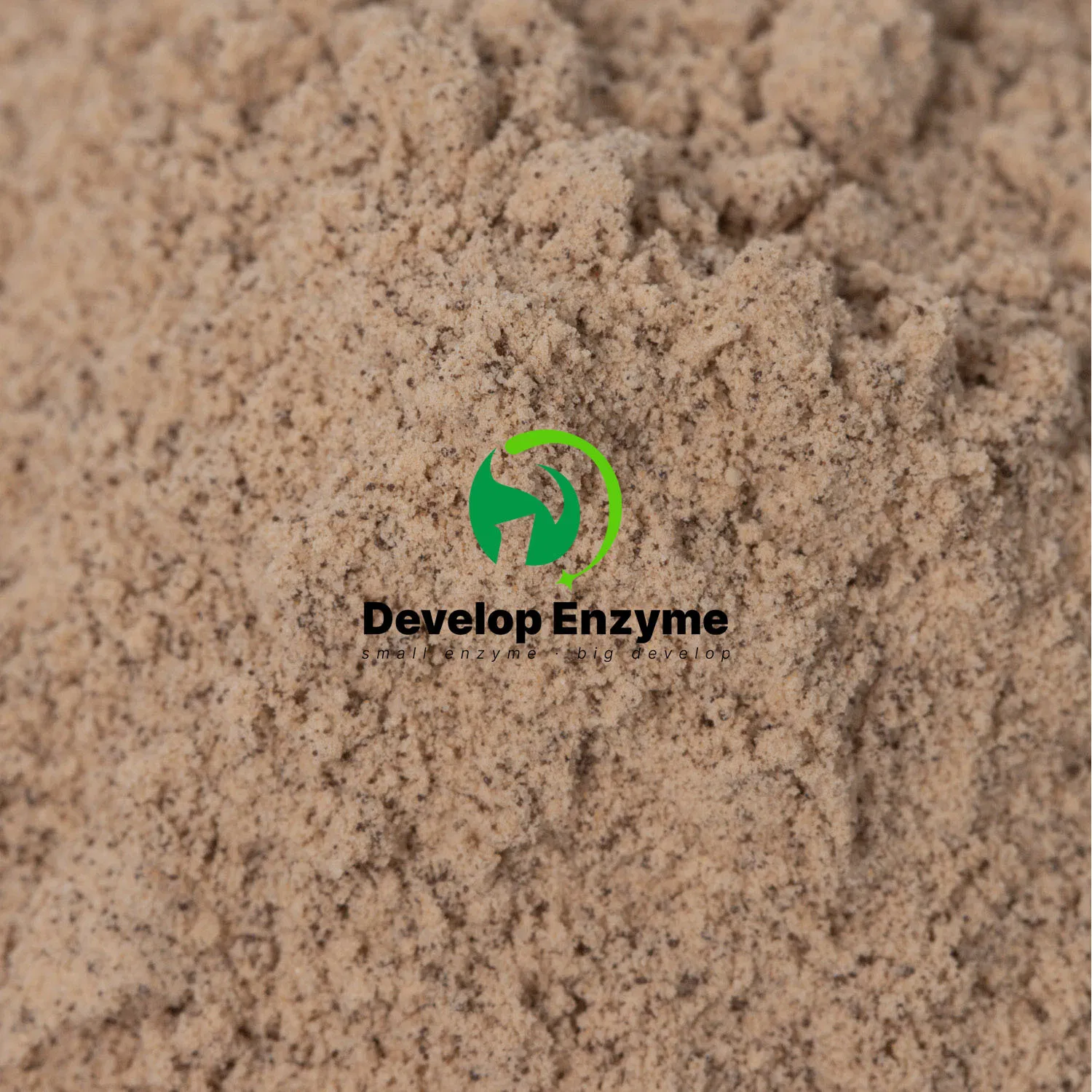 Wheatzyme, Compound Enzyme Price Gut Health Enzyme for Wheat Feed Inhibit Pathogens, Enhance Absorption, Reduce Diarrhea Customize