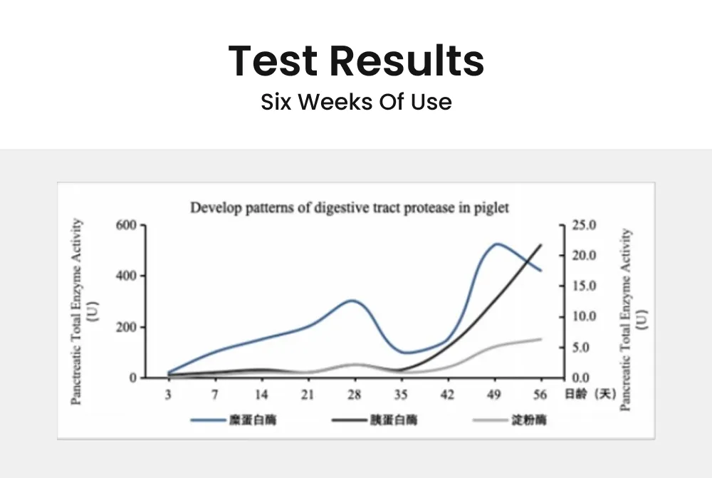 Price Piglet Compound Enzyme Promote Gut Health and Weight Gain