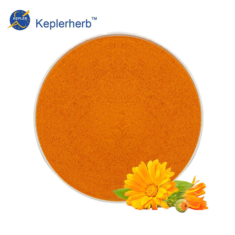 Premium Natural Marigold Flower Extract 10% Lutein with Antioxidant Properties Food Grade