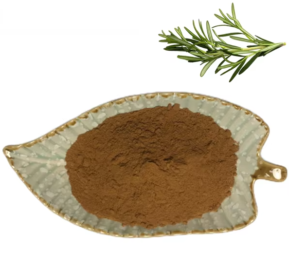 Natural Antioxidant Food Grade Herbal Extract 20% 30% 10:1 Rosmarinic Acid Rosemary Leaf Extract Powder in Bottle