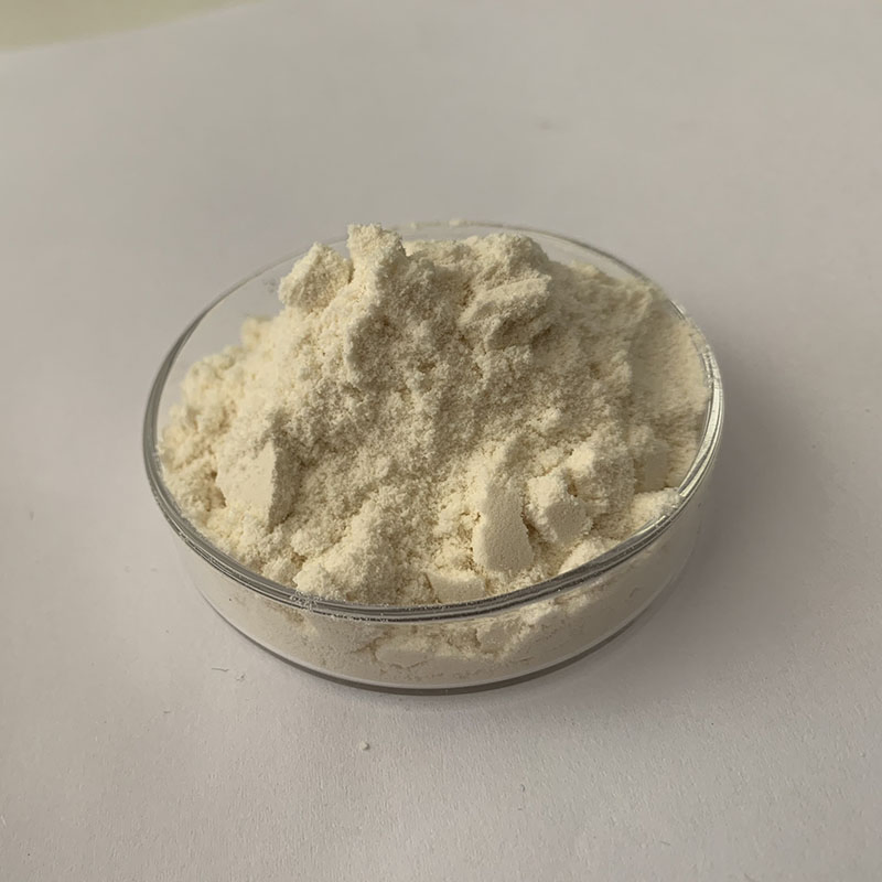 Concentrated Whey Protein Powder Instant WPC80 Fitness Muscle-Building Protein Powder