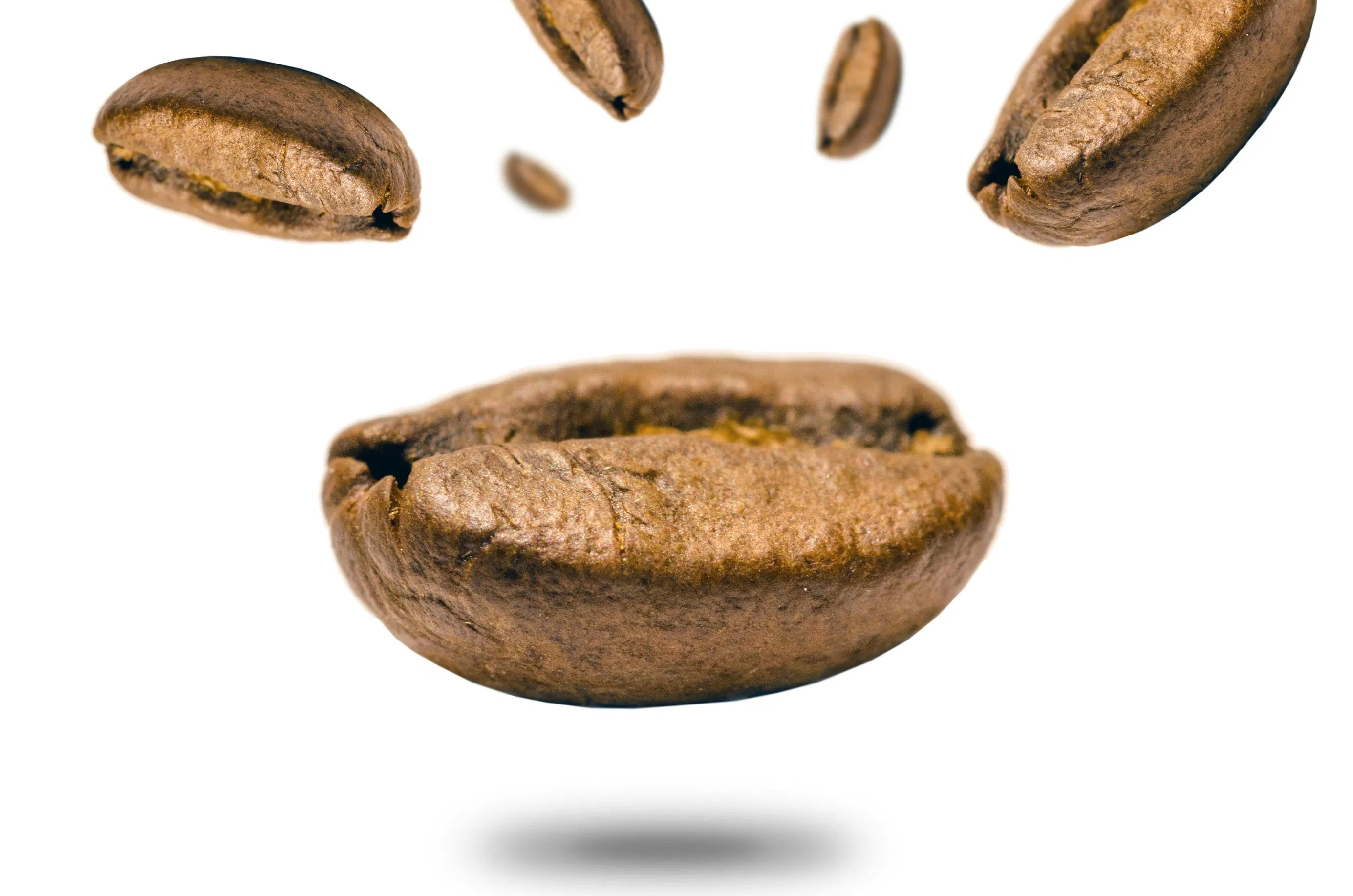 Weight Management Akkermansia White Kidney Bean Yerba Mate Plant Extract Instant Coffee Powder
