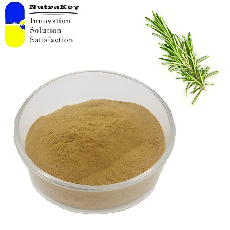 Product Description Image