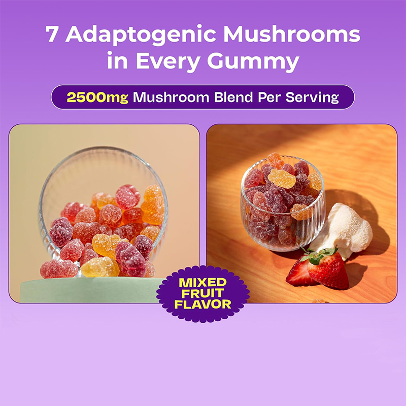 OEM/ODM Immune Defense Cognitive Enhancement Vegan Ashwagandha Gummies and Lion's Mane Mushroom Gummies Supplement