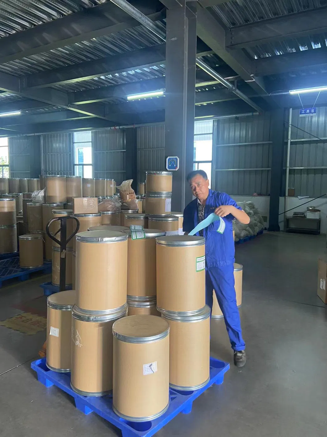 Health Supplement Cosmetic Chicken Fish Cattle 90% Protein Type II Collagen Powder