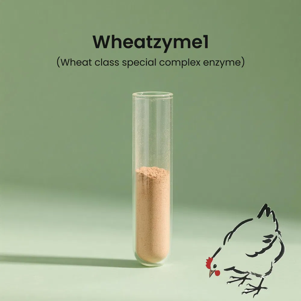 Feed Grade Wheat Enzyme Blend Enhance Growth and Gut Health in Poultry