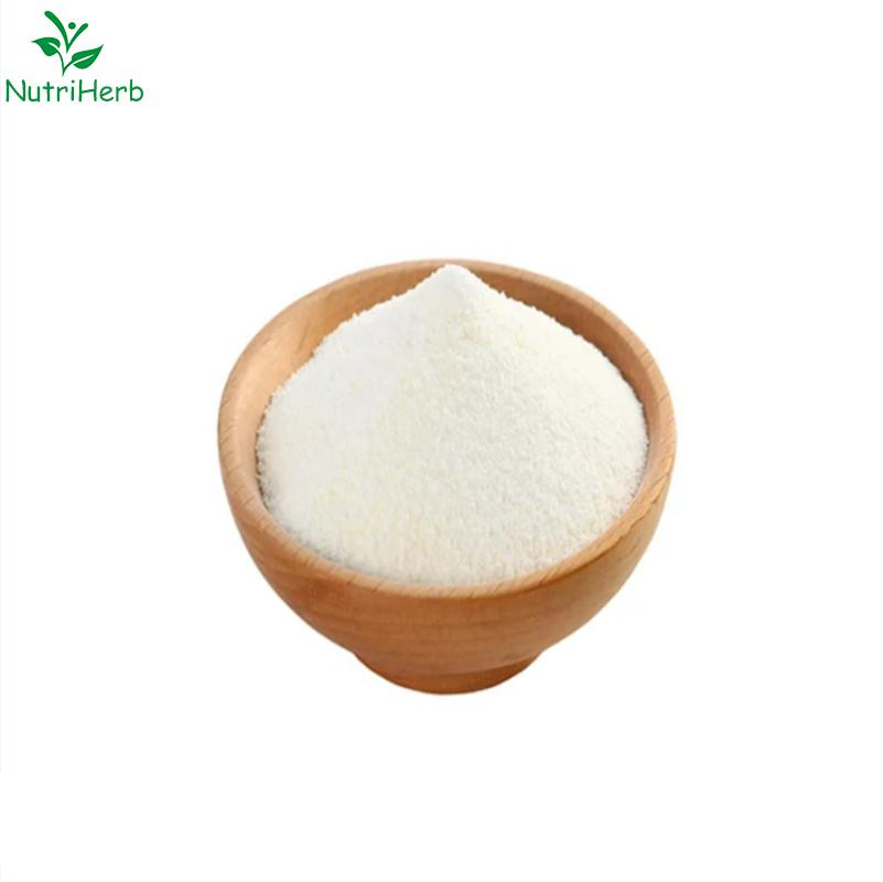 Health Supplement Cosmetic Chicken Fish Cattle 90% Protein Type II Collagen Powder
