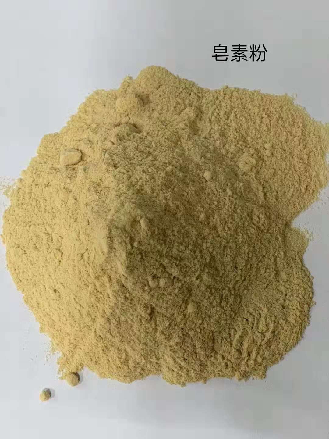 Natural Antioxidant Ingredient Camellia Sinensis Extract Powder Premium Tea Saponin for Functional Nutrition