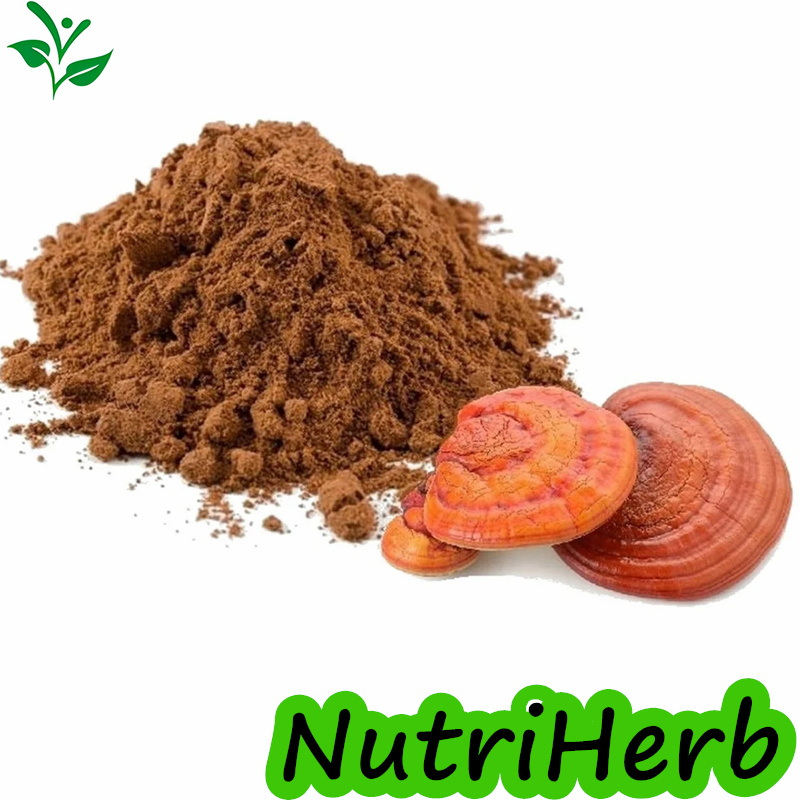 Organic Ganoderma Lucidum Extract De Lingzhi Reishi Mushroom Spore