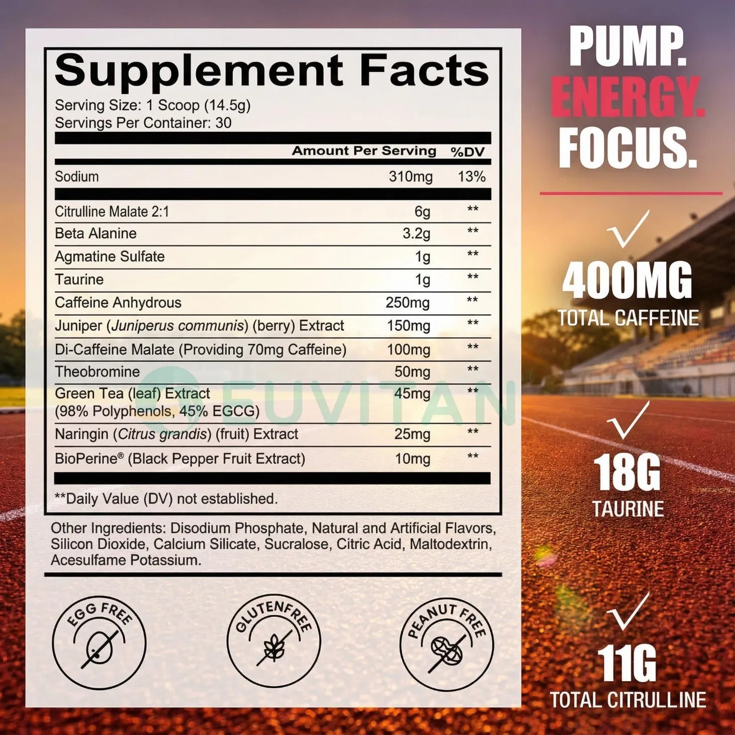 Wholesale Pre Workout Nitrogen Pump Muscle Builder Nitric Oxide Weight Management Electrolyte Recovery Pea Protein Powder for Adults
