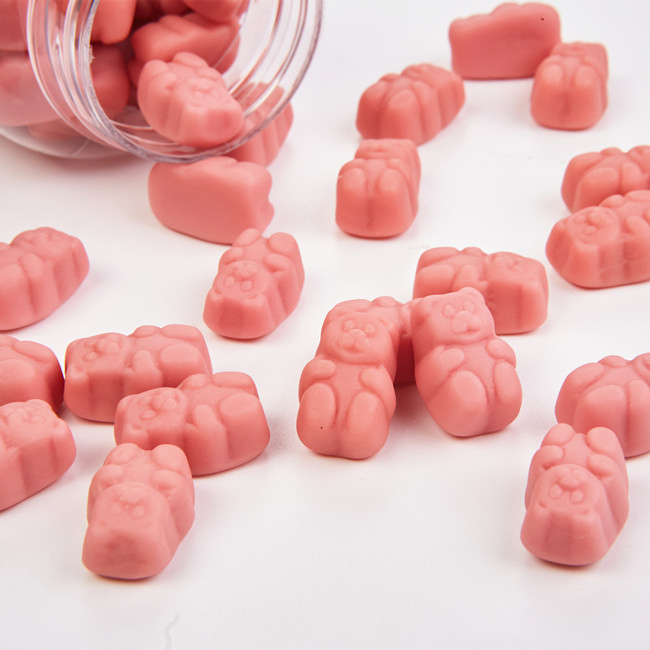 Delicious Gummy Candy Factory OEM Digestive Advantage Probiotic Gummies for Digestive Health