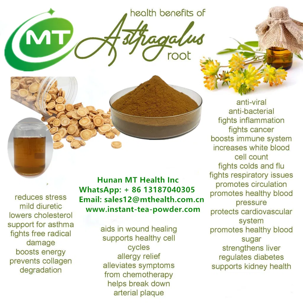 Organic Astragalus Extract Powder 70% Polysaccharides Image 2