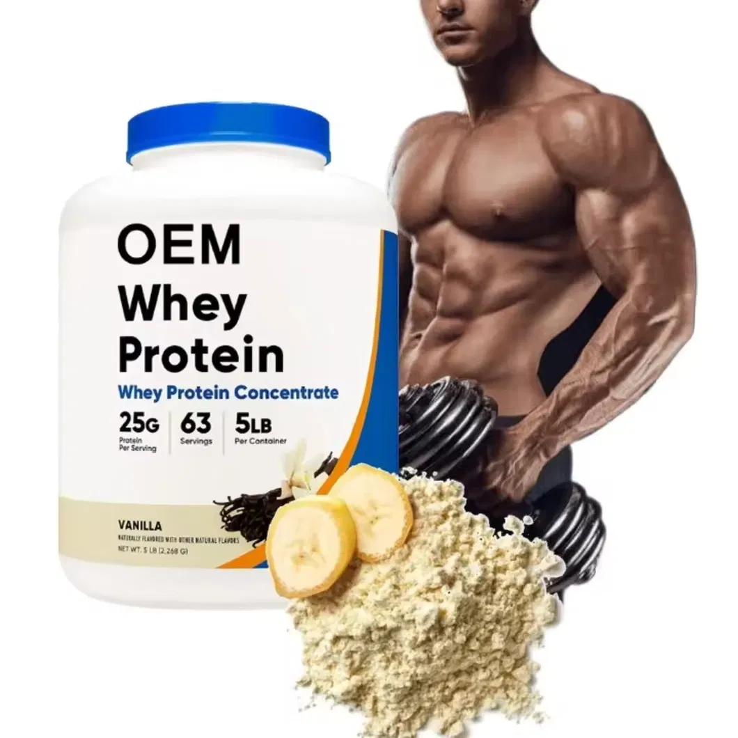 OEM ODM Muscle Building Whey Protein Concentrate Powder for Athletes
