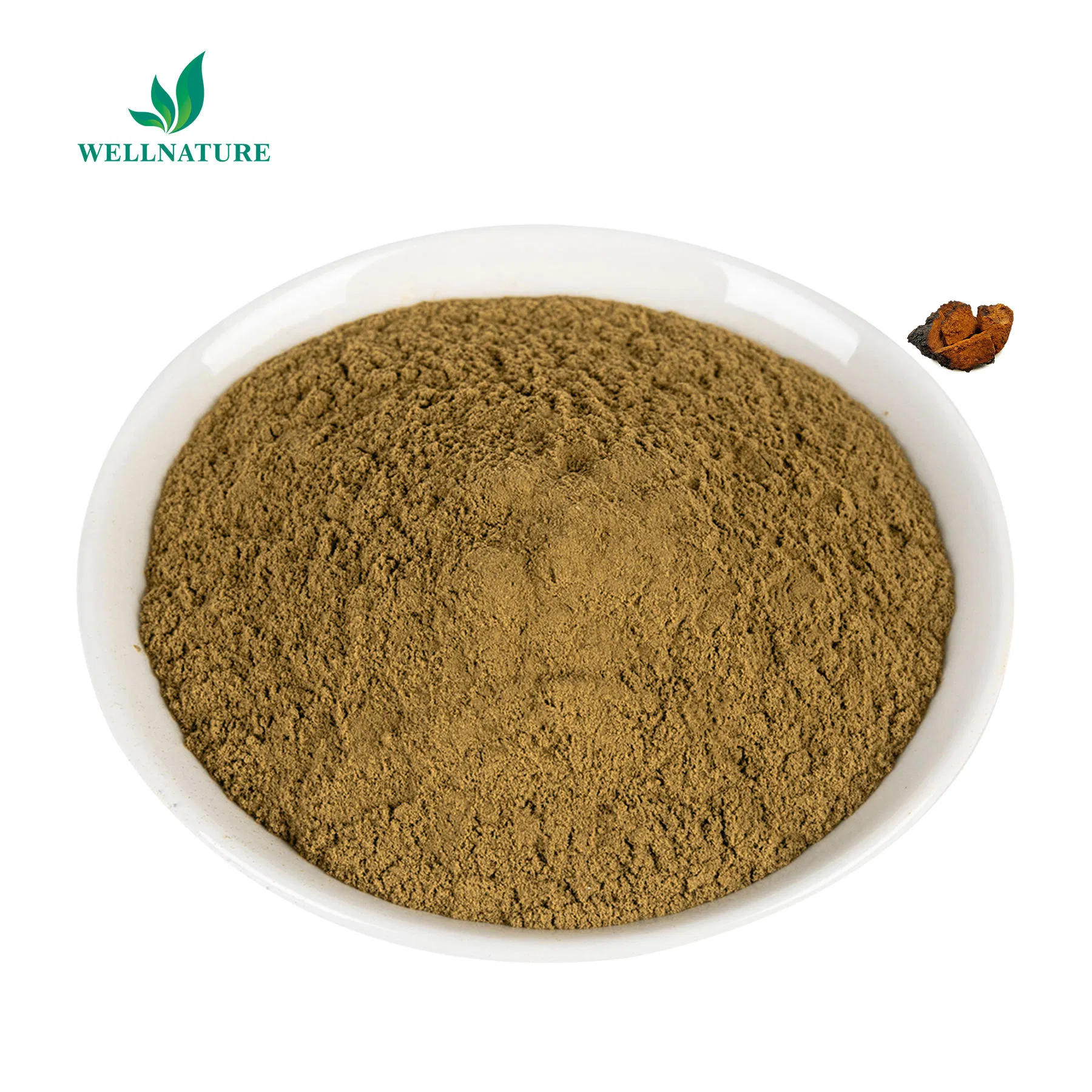 Organic Chaga Mushroom Extract Powder for Immune System Support and Natural Energy (Adaptogen)