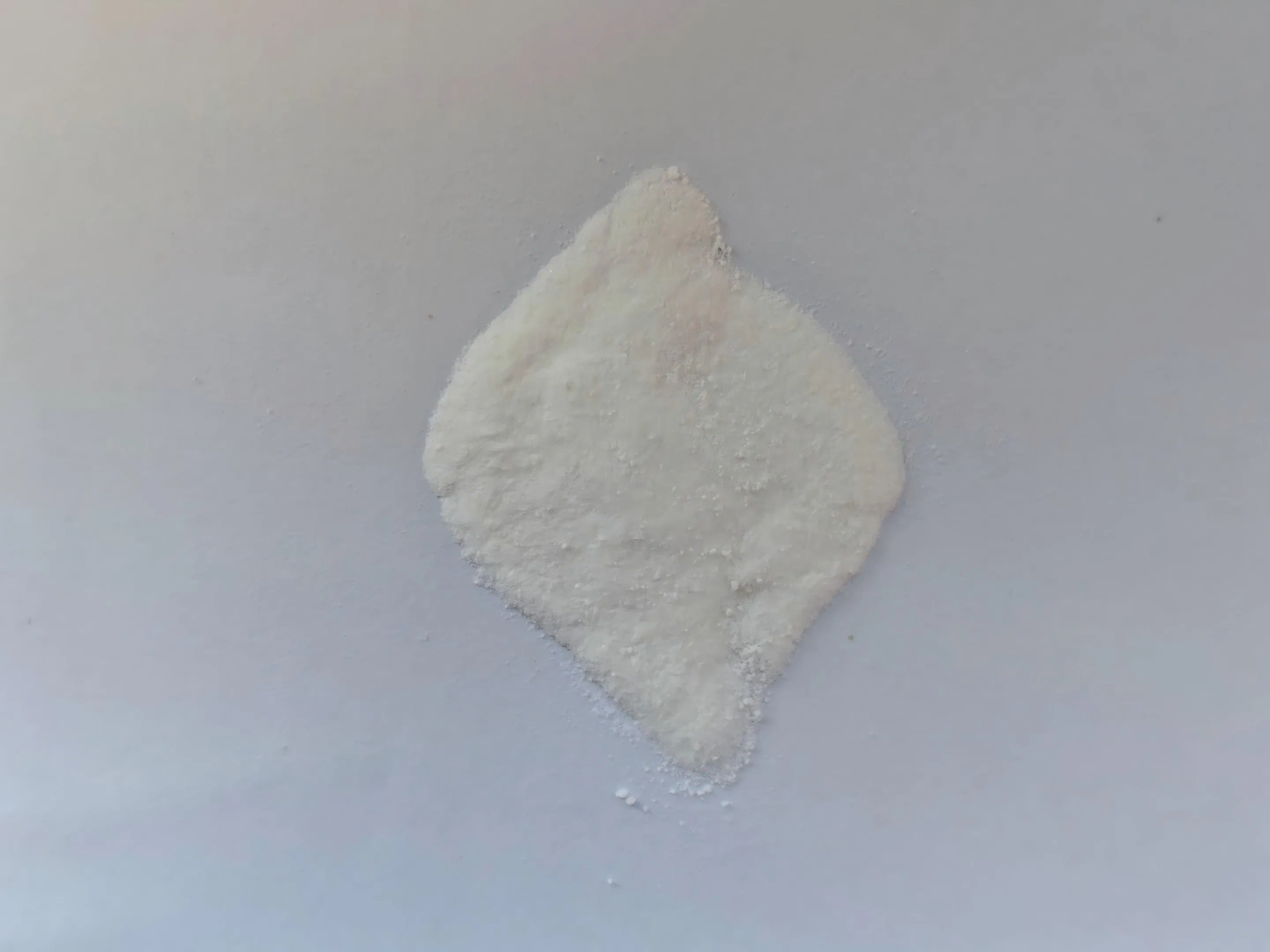 Premium Plant-Based Protein Powder with Bcaa for Recovery