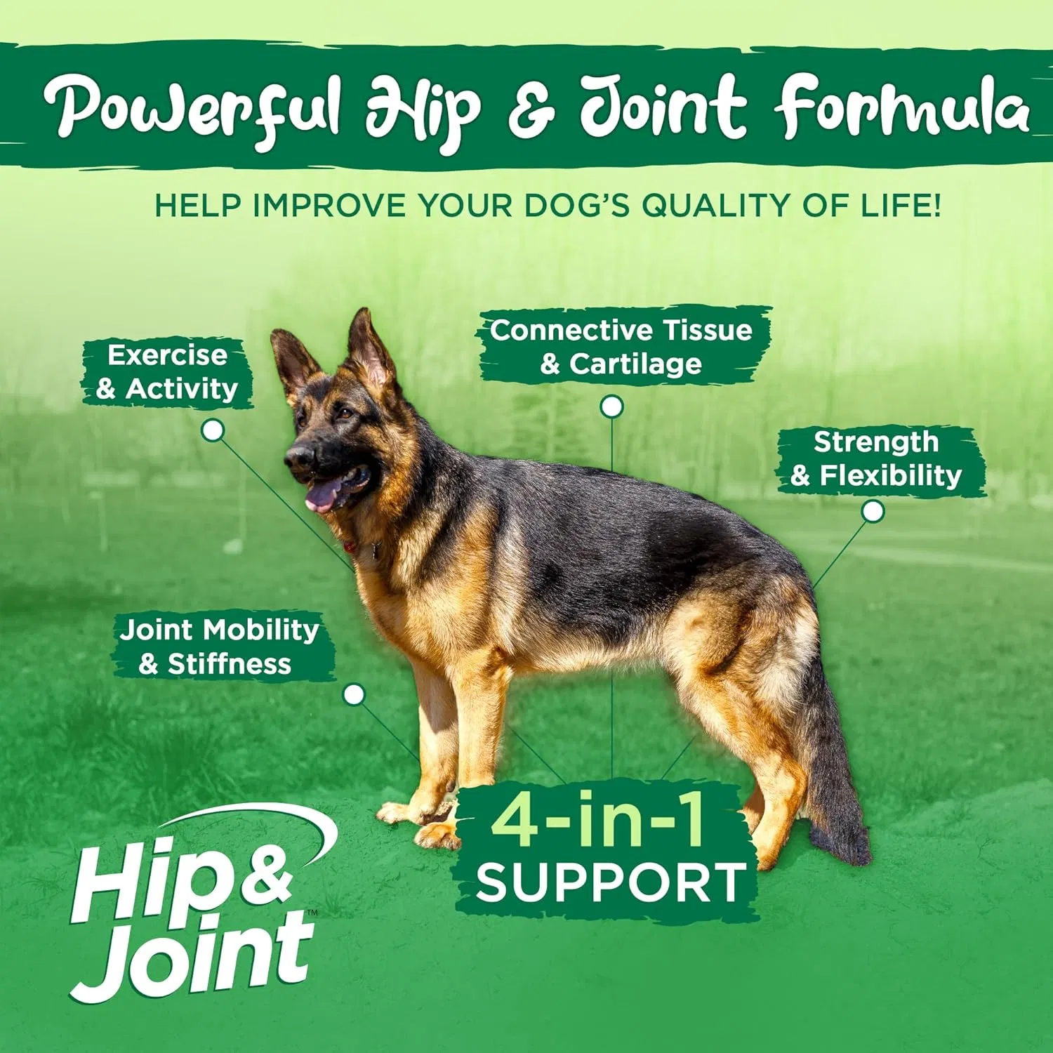Effective Chewable Tablets for Cats and Dogs Hip &amp; Joint, Pet Health Supplements Support Mobility, Glucosamine Msm
