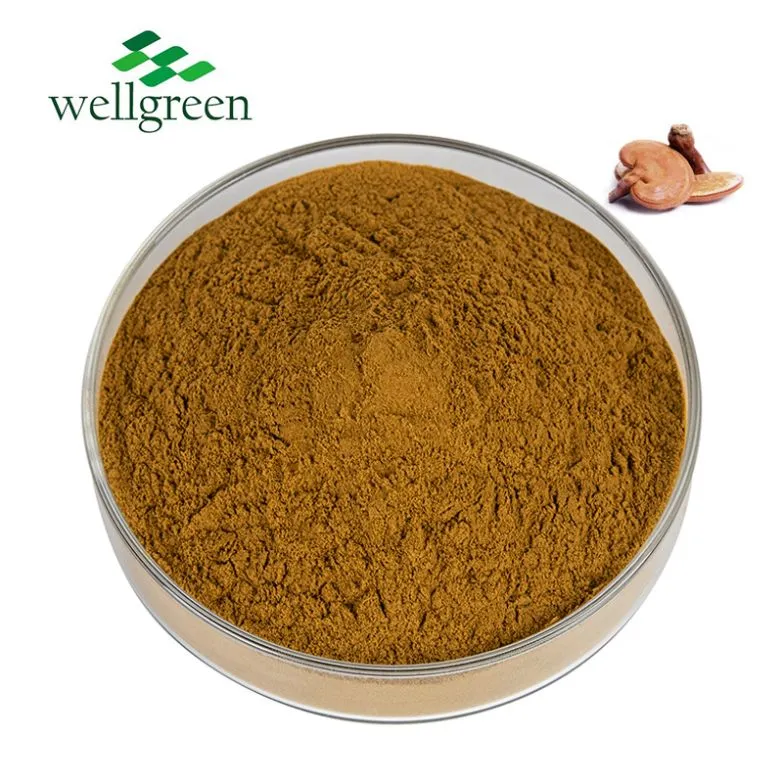 Reishi Extract Product Showcase