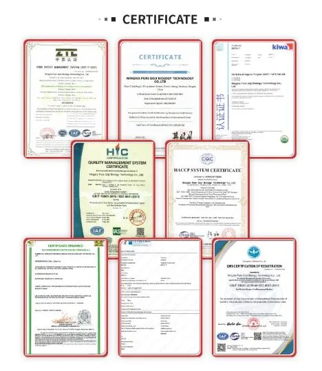 Certification 1