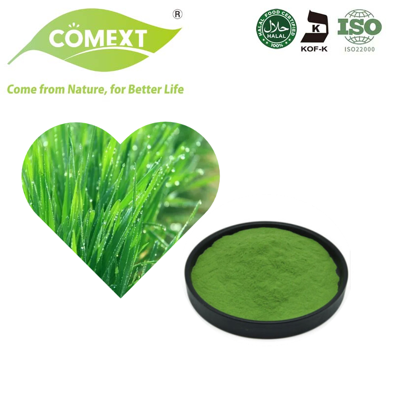 Comext Immune Plant Based Barley Grass Powder Organic Green Superfood Powder