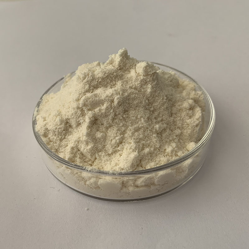 Concentrated Whey Protein Powder Instant WPC80 Fitness Muscle-Building Protein Powder
