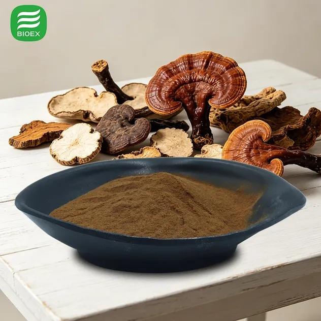Water Soluble Reishi Extract for Functional Beverage and Coffee