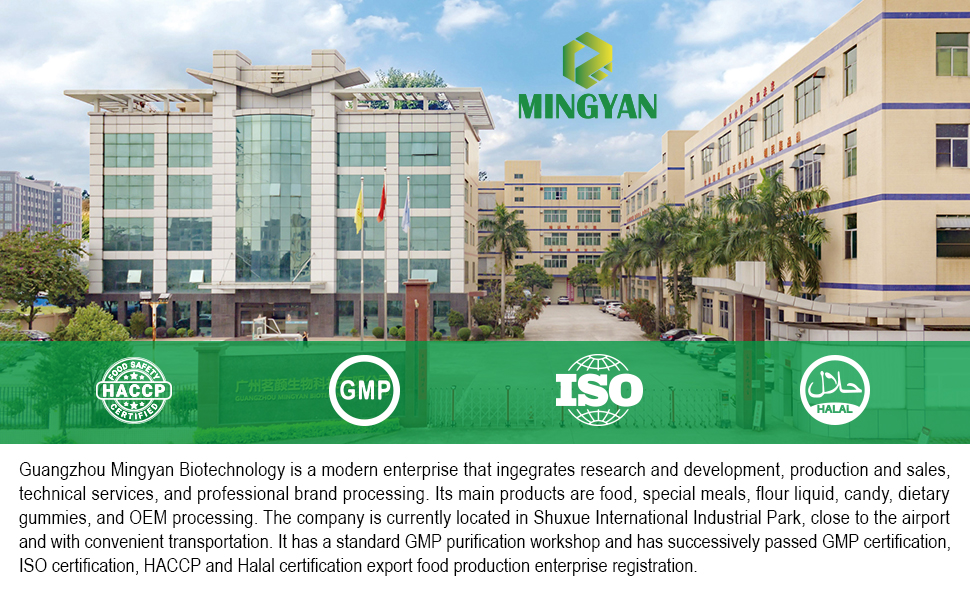 Company overview