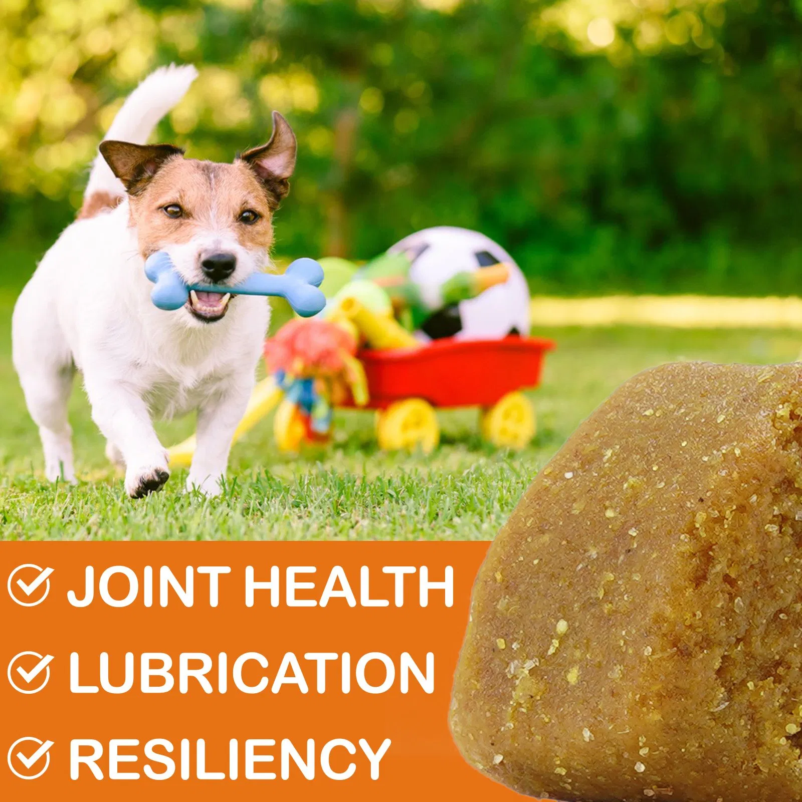 Soft Chews Pet Health Joint Care Nutritional Supplements Dog &amp; Cat Food