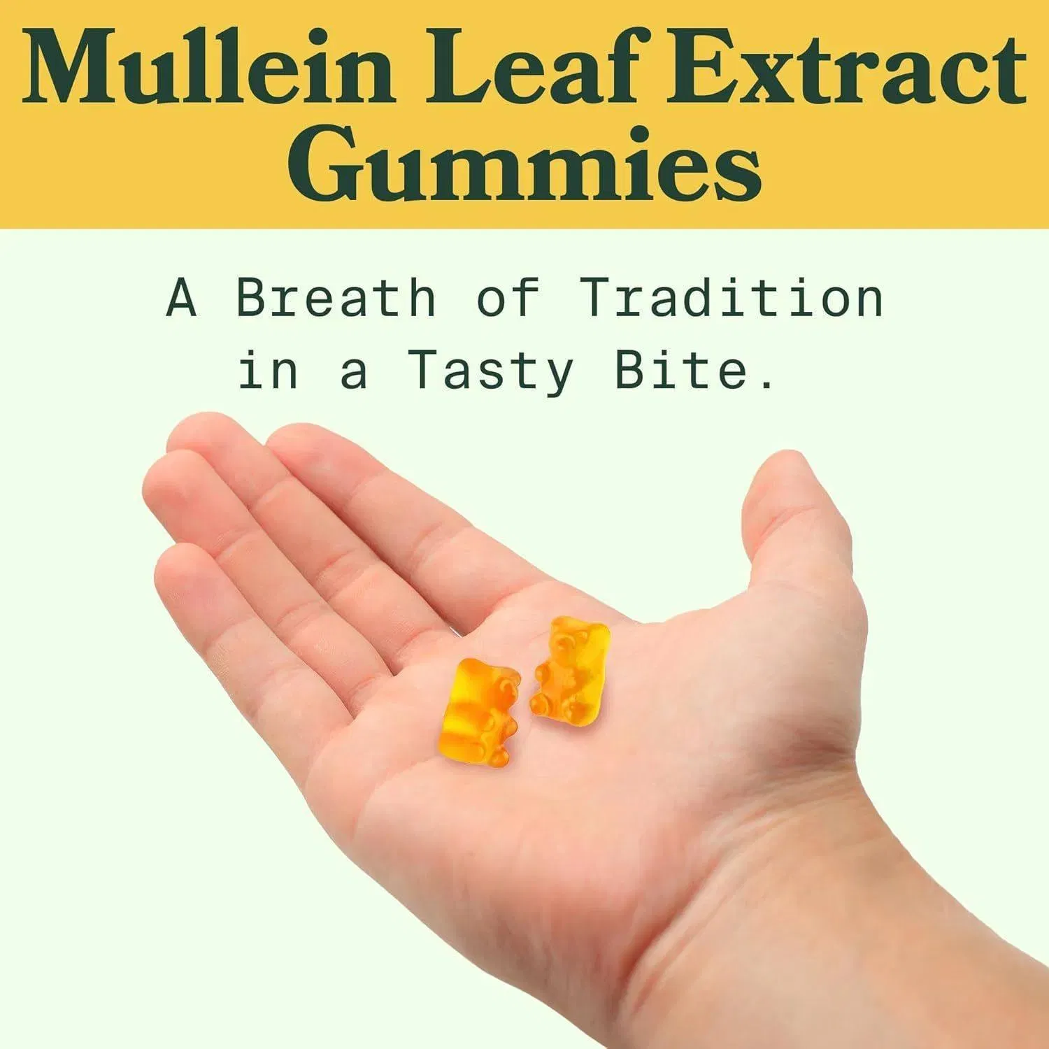 Immunity Support Gummies Detail