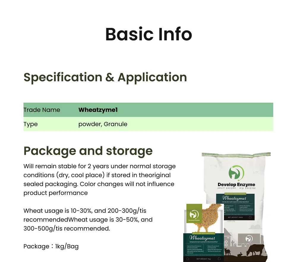Feed Grade Wheat Enzyme Blend Enhance Growth and Gut Health in Poultry