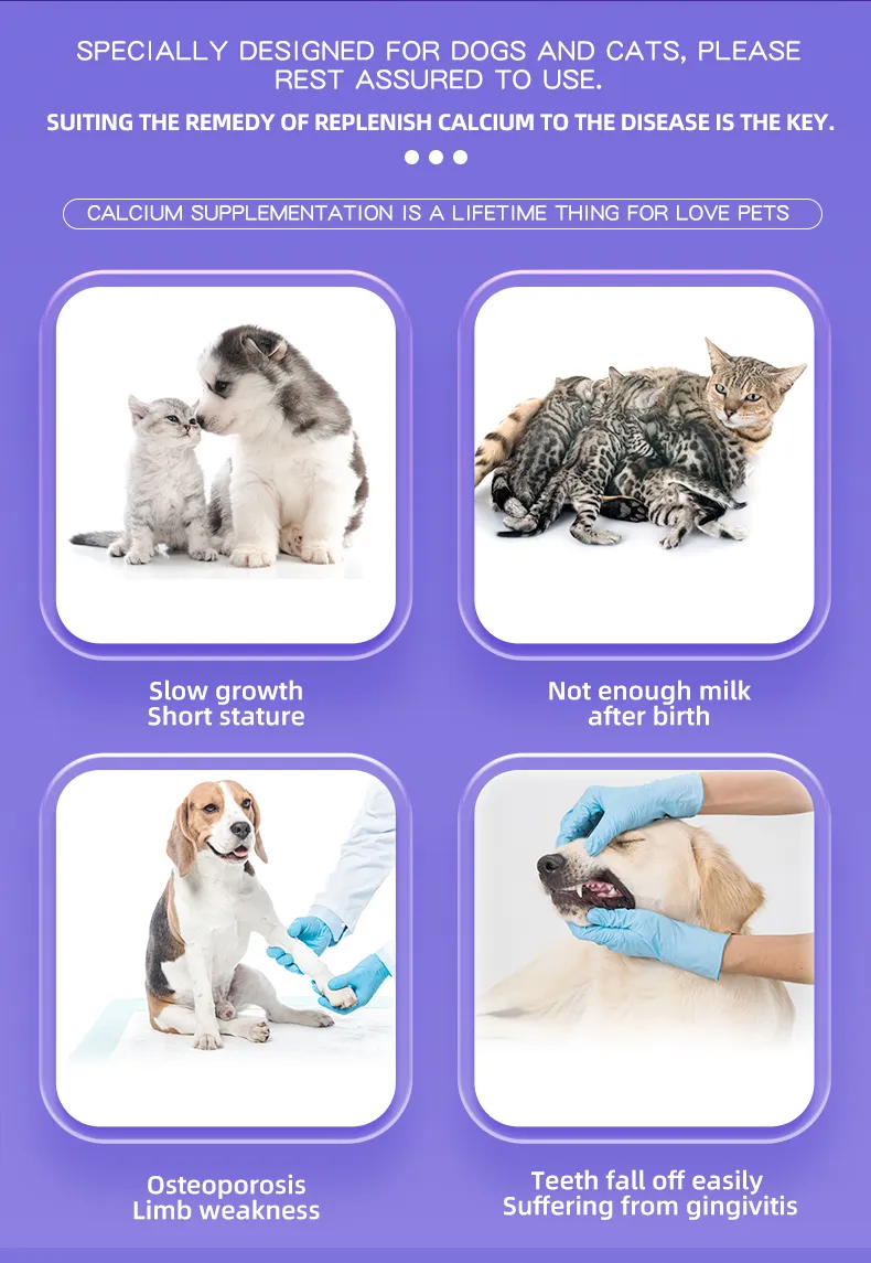 Pet Supplement Detailed Product Photo 5