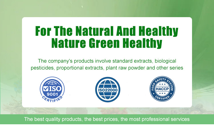 Fiber Supplement banner