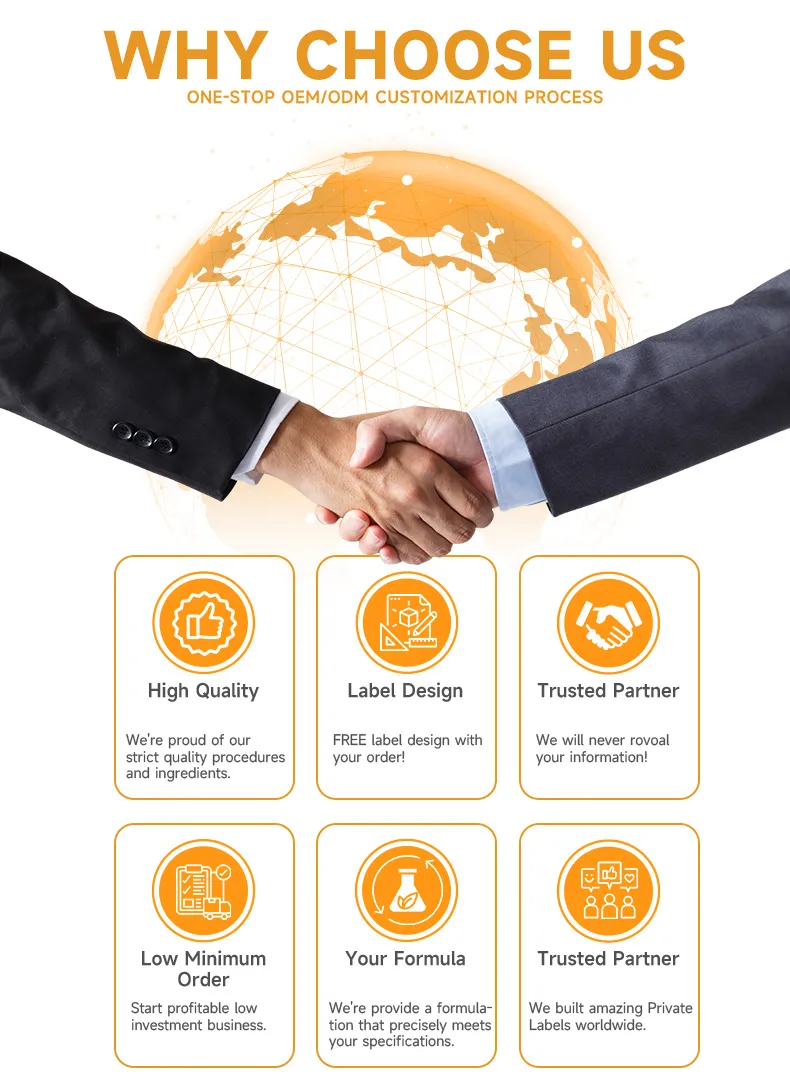 Company overview