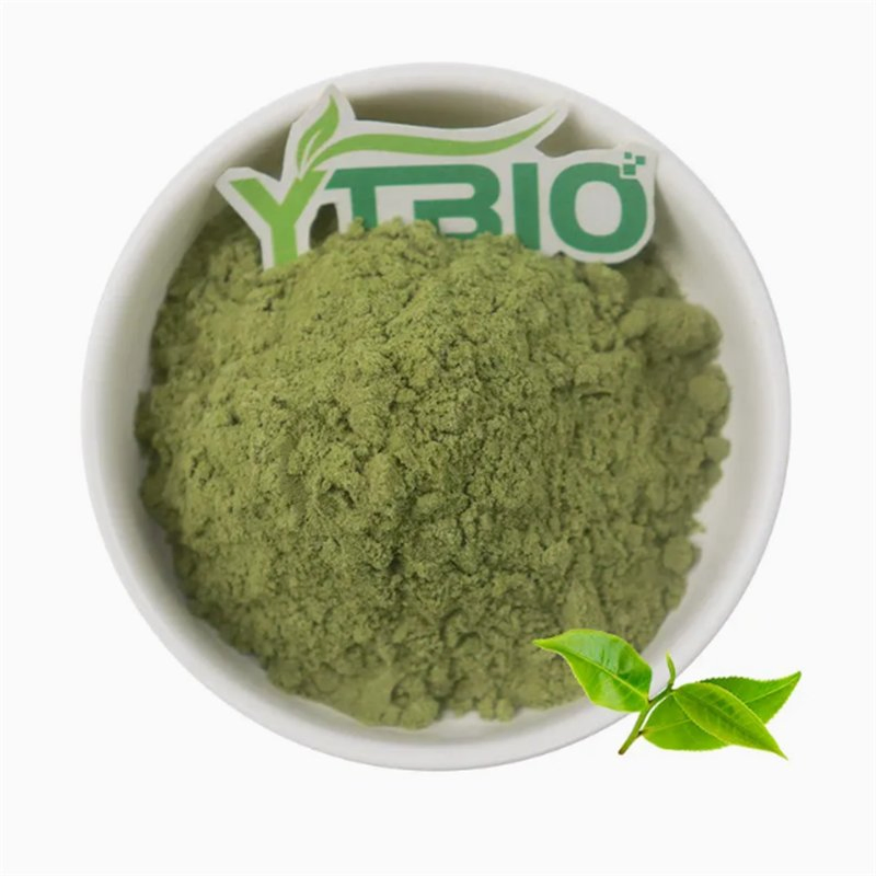 Organic Alfalfa Powder High Quality Pure Natural Green Superfood