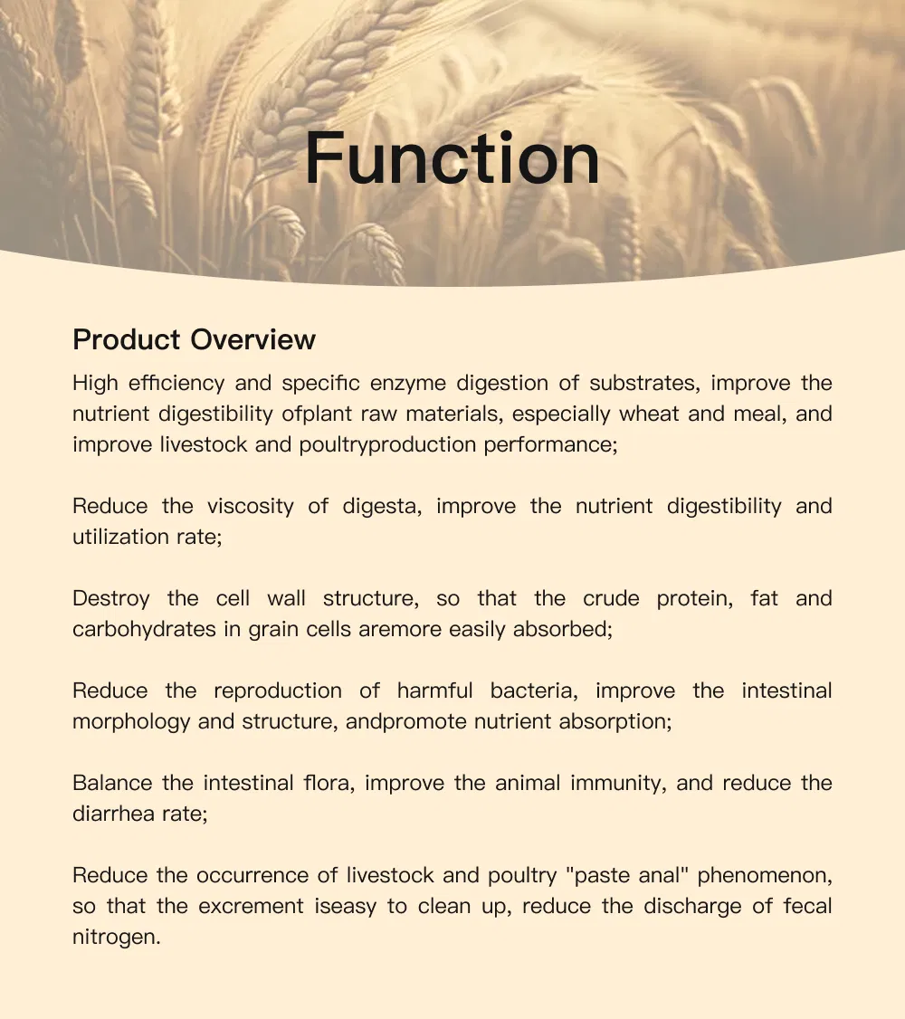 Feed Grade Wheat Enzyme Blend Enhance Growth and Gut Health in Poultry